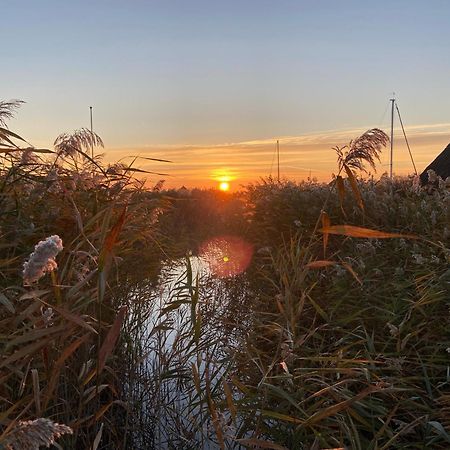 Seehuette Neusiedlersee - Pfahlbau Waterfront 1 Руст Экстерьер фото